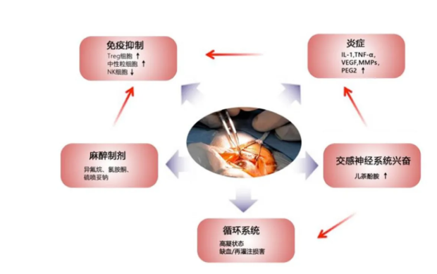 徐克成：癌症治疗的反思与探索