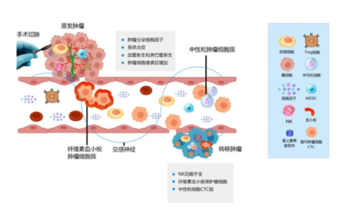 徐克成：癌症治疗的反思与探索