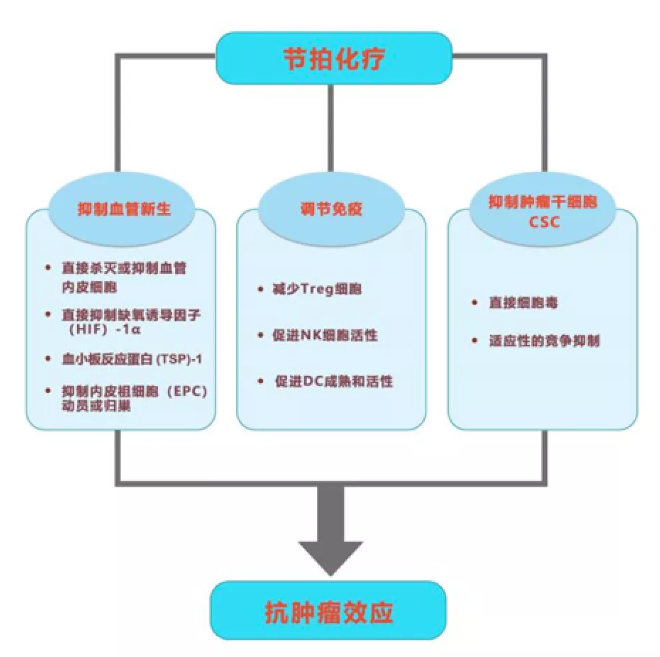 徐克成：癌症治疗的反思与探索