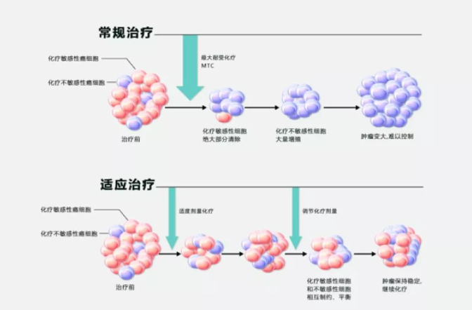 徐克成：癌症治疗的反思与探索