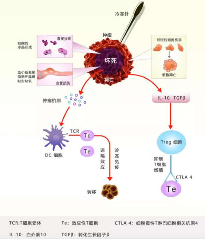 徐克成：癌症治疗的反思与探索