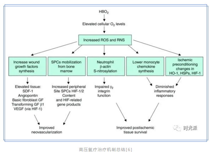 有事没事都能吸，治病还能抗衰老？来呀，一起吸~