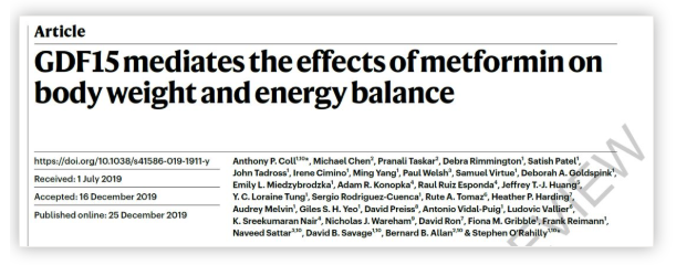 “神药”二甲双胍登上Nature主刊，二甲双胍减肥之谜终于搞清楚了