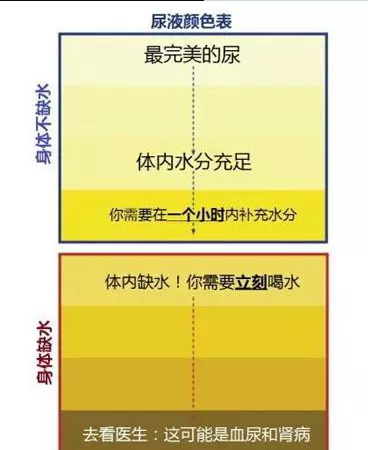 多喝水，喝氢水才是高手！